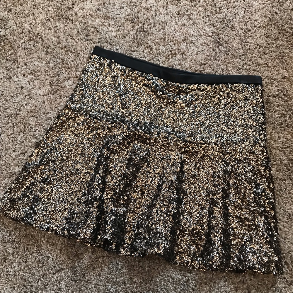 Express skirt